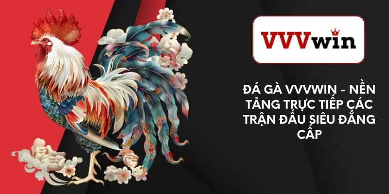 da-ga-vvvwin-nen-tang-truc-tiep-cac-tran-dau-sieu-dang-cap